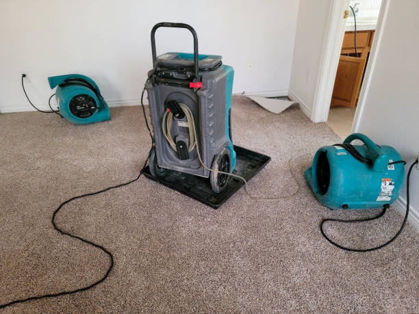 Best Flooded house restoration  in Camp Hill, PA
