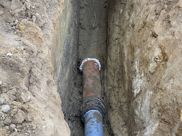 Best Local water damage restoration  in Camp Hill, PA