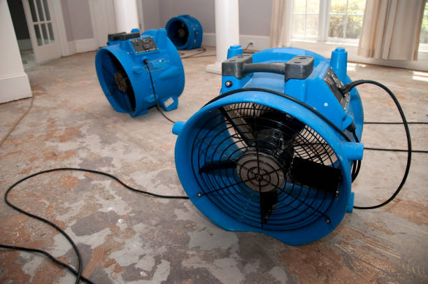 Best Water damage restoration mold remediation  in Camp Hill, PA