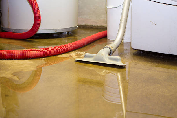 Best Residential water damage restoration  in Camp Hill, PA