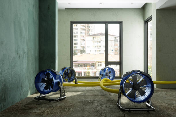 Best Water damage restoration services  in Camp Hill, PA